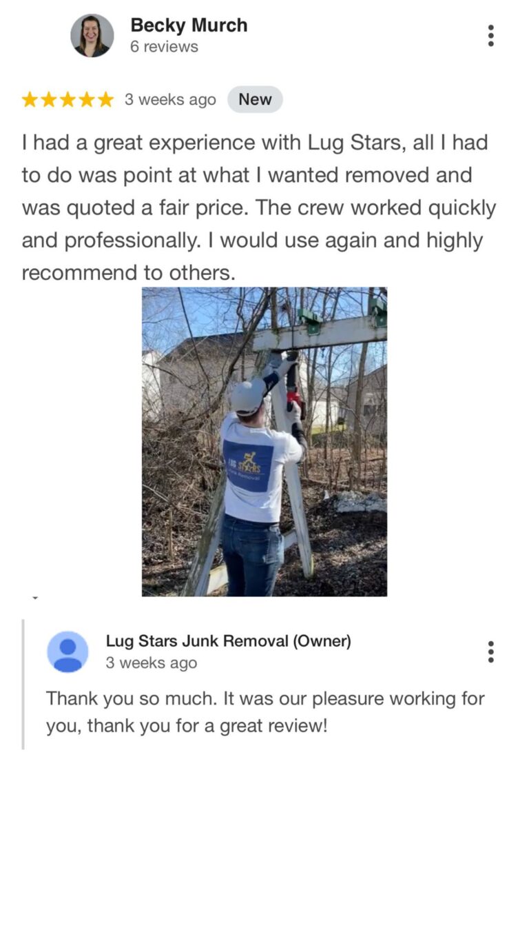 demolition of swingset playset